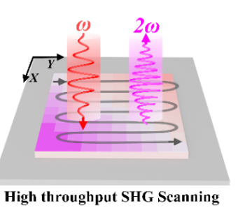 研究人员开发出高通量光学二次谐波扫描成像技术 可实现极性样品的快速筛选