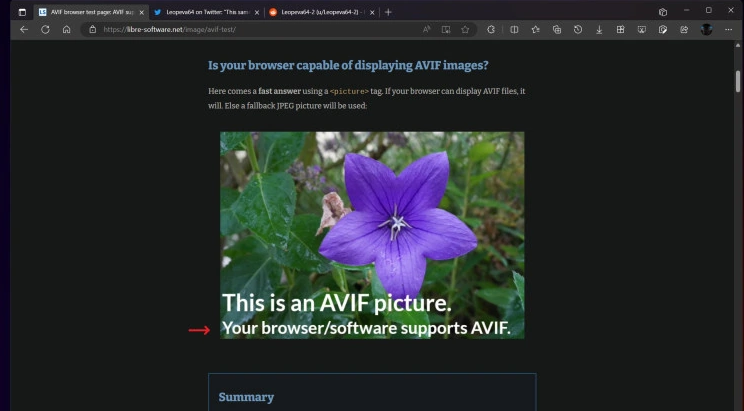 AVIF test image running on Microsoft Edge