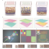 研究人员开发光致变色活性胶体用于开发新型智能材料