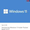 微软今天宣布面向Canary频道发布Windows 11预览版Build 25375