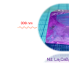 掺杂Nd3+的La2CaB8O16晶体实现1052nm和1055nm双波长正交偏振激光输出