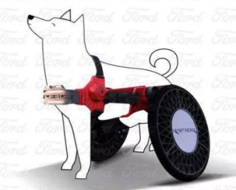 墨西哥福特工程师3D打印工程级宠物狗轮椅 以帮助狗轻松穿越任何地形