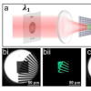 研究人员展示一种用于调整光波长和强度的多功能工具 进行全光学近红外成像