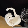 研究人员在机器人领域取得了突破性进展 推出了3D打印生产的肌腱控制机器人手