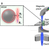 研究人员使用电子能量损失光谱 以十纳米量级空间分辨率研究光学特性