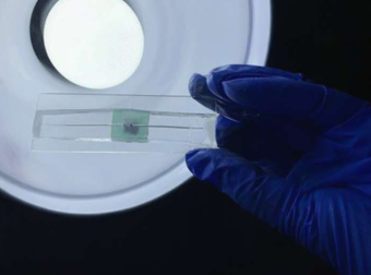 研究人员使用液态金属和激光烧蚀来制造可拉伸的微型天线