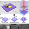 激光纳米打印技术实现微型有源涡旋光激光器 研究成果发表在《Nano Letters》上