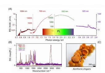 研究人员从拉曼光谱中获得科学回报以激光进行外部生物勘探