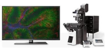 FV4000和FV4000MPE显微镜正式上市 旨在重新定义科学成像