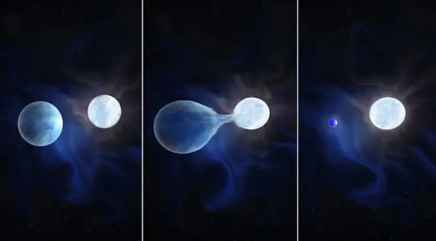 这位艺术家的印象展示了炽热、明亮和高质量的恒星是如何演化的。质量更大、更亮的恒星首先膨胀，直到外层开始强烈感受到伴星的引力。然后伴星开始从主星中吸取物质。当初级从其整个富氢包膜中剥离时，它就会收缩。图片来源：Navid Marvi，由卡内基科学研究所提供