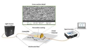 使用钙钛矿纳米薄膜产生有损模式共振