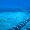 Sparkle在亚得里亚海推出GreenMed海底电缆
