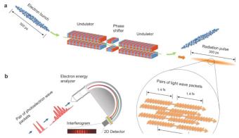 揭示光学涡旋的本质：理解光与物质相互作用的一步