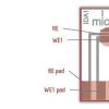 西班牙Micrux薄膜叉指阵列微电极用于生物传感器开发