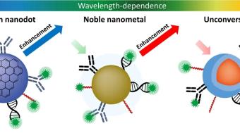 探索超表面的潜力：单分子荧光传感和纳米颗粒检测的突破
