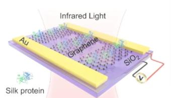 彻底改变分子传感：新方法增强了基于石墨烯的SEIRA传感器灵敏度