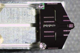 使用“克尔孤子”提高透射电子显微镜的功率