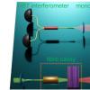 新的量子光学技术揭示了极化激元相互作用
