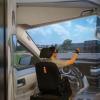 德国戴姆勒汽车使用ART光学追踪设备探求汽车驾驶室用户可达性