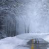中央气象台发布暴雪蓝色预警 多种极端天气或创历史纪录