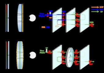 线性光学系统的多光子、原子系综量子模型的快速仿真