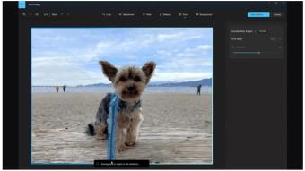 微软在Windows照片应用程序中推出有用的人工智能具