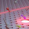 纳米镊子以最小的光功率操纵噬菌体，这是噬菌体治疗的突破