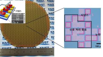 韩国科学技术院创造性的昆虫模拟传感器：超高速、低功耗视觉系统