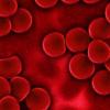 研究人员为单个红细胞开发了第一张热图