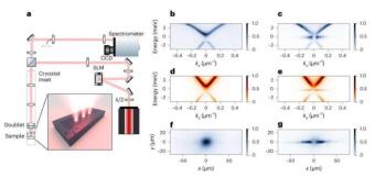 光学捕获的量子光滴可以结合在一起形成宏观复合物