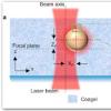 科学家实现了微观粒子的可重构3D光学操作