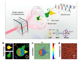 控制光偏振的新方法使用液晶创建全息图