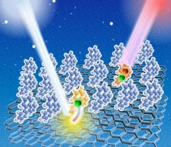 分子取向是关键：使用2光子光发射光谱法揭示电子行为的新视角
