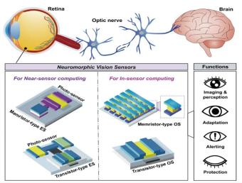 巴基斯坦研究人员通过神经形态传感器开发在人工视觉方面取得长足进步