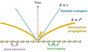 科学家研究相互作用的玻色子系统中的信息传播