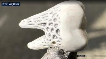 波兰和中国台湾科学家致力于新型3D打印牙种植体