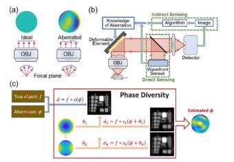 科学家采用天文学方法对显微镜图像进行模糊处理